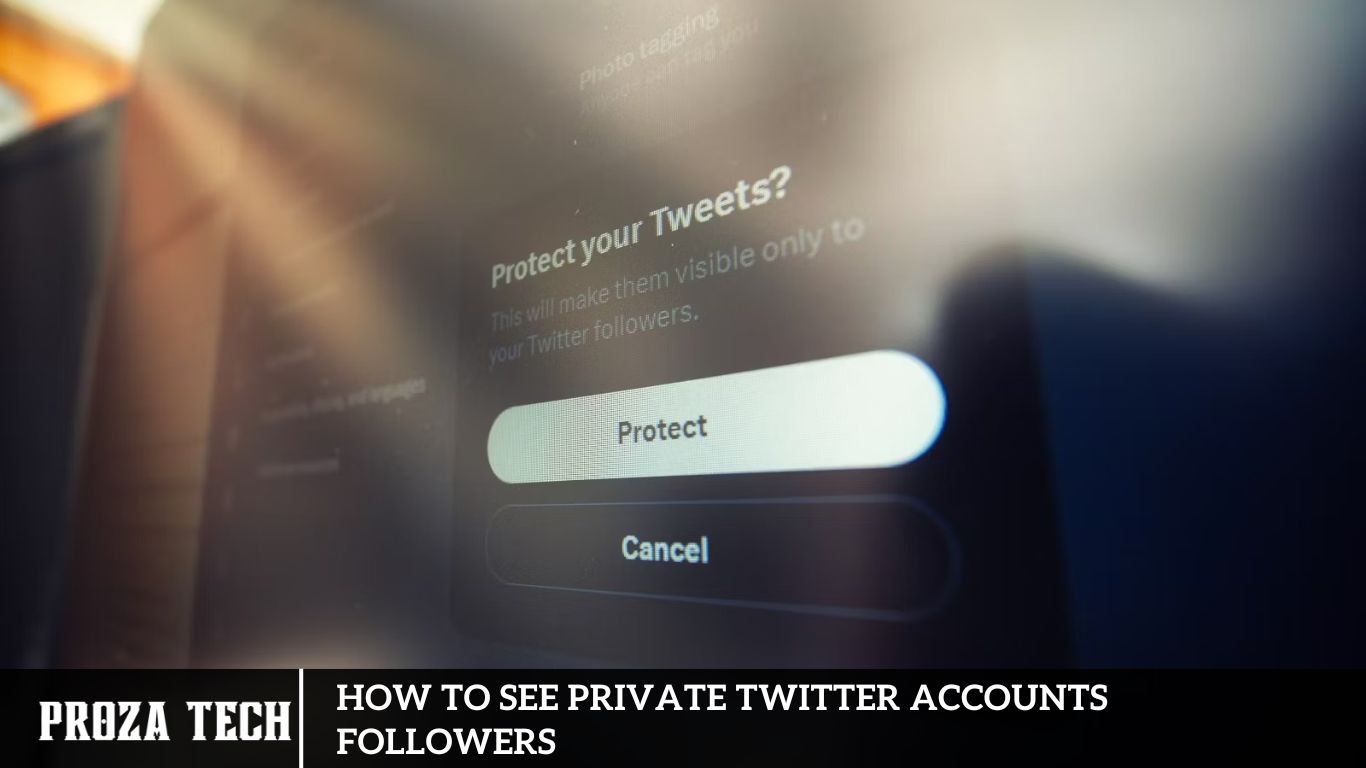 How to See Private Twitter Accounts Followers